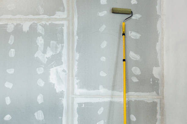 Best Drywall Removal and Disposal  in Mount Clemens, MI