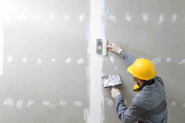 Best Wallpaper Removal and Painting  in Mount Clemens, MI