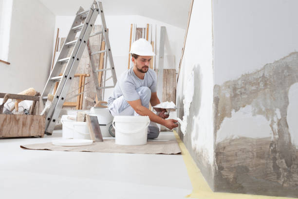 Best Commercial Painting  in Mount Clemens, MI